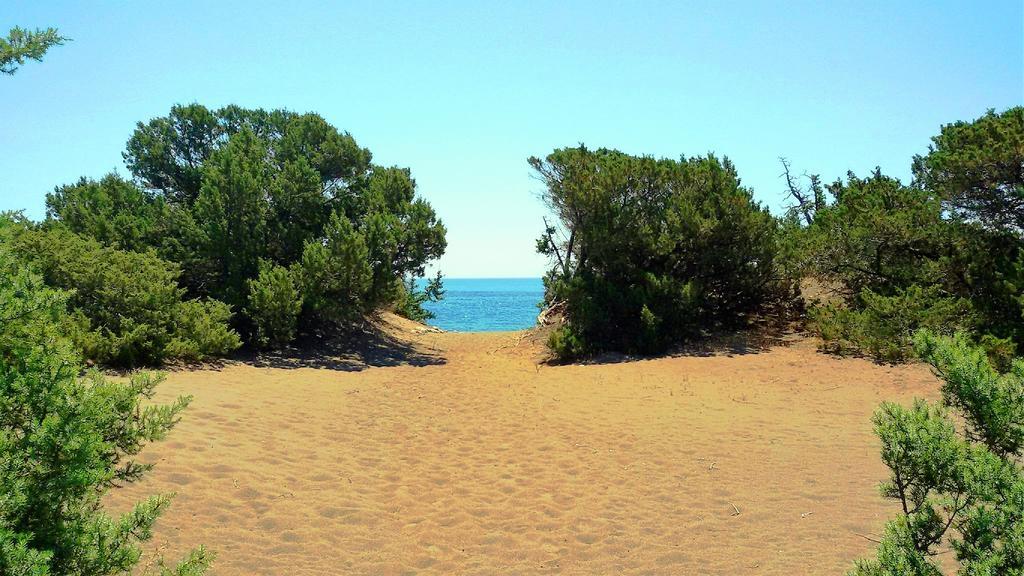 Beachfront Villa Rhodes Seashell Gennadi Extérieur photo